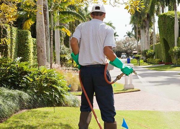 About Batavia NY Pest Control